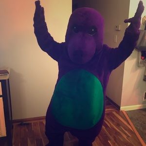 Vintage Barney costume